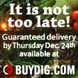 Guaranteed delivery by Dec 24