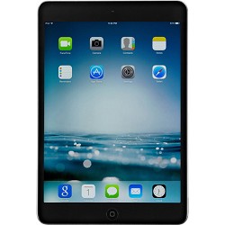 Apple Space Gray 32GB iPad Mini with Retina Display and WiFi