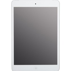 Apple iPad Mini with Wi-Fi 64GB + Verizon 4G, White