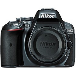 Nikon D5300 DX-Format Digital 24.2 MP SLR Body w\/ 3.2 Vari-angle LCD, Wi-Fi (Gray) Nikon D5300 DX-Format Digital 24.2 MP SLR Body w\/ 3.2 Vari-angle LCD, Wi-Fi (Gray)