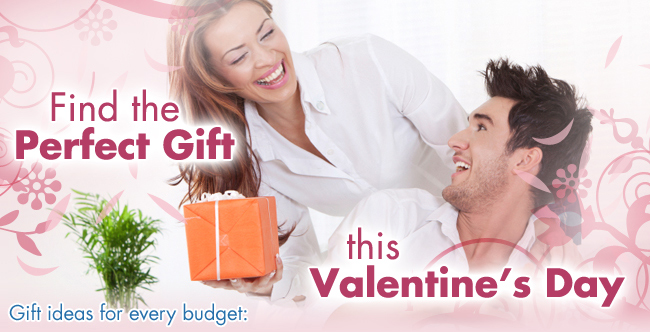 Gifts for the Ones you Love!