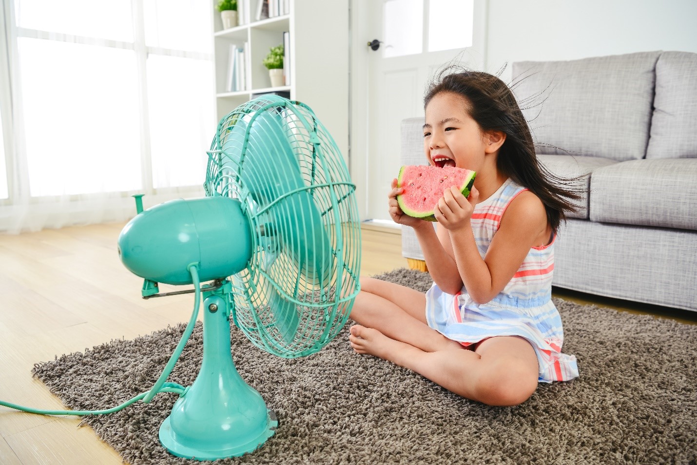 Air Conditioners vs Fans