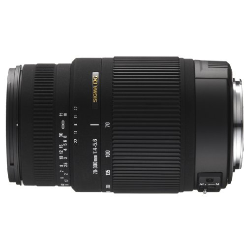 Sigma 70-300mm F/4-5.6 DG OS SLD Super Multi-Layer Coated Telephoto Lens for Nikon AF