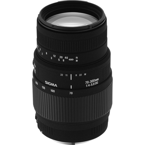 Sigma 70-300mm f/4-5.6 SLD DG Macro Lens with built in motor for Nikon Digital SLRs