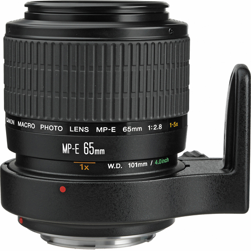 Canon MP-E 65MM F2.8 1-5X MACRO LENS CANON AUTHORIZED USA DEALER WARRANTY INCLUDED