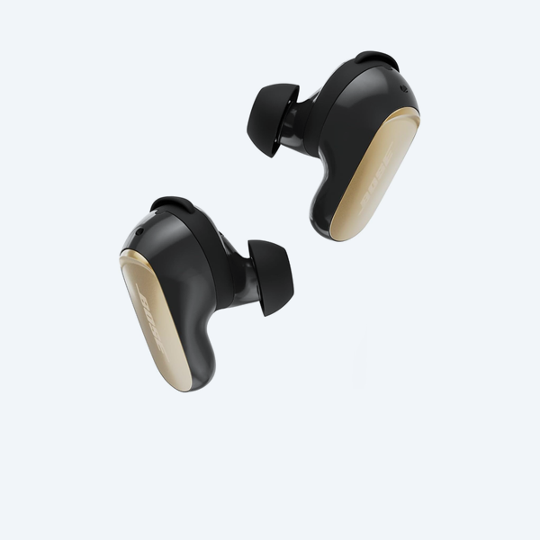 Earphones