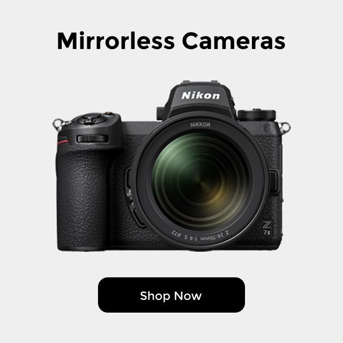 Point and Shoot Cameras