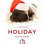 4 Fun Holiday Photo Ideas - BuyDig Blog