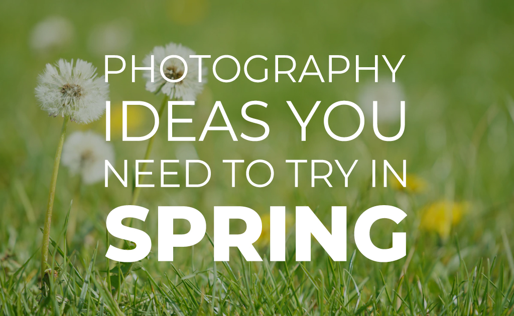 Photography Ideas You Need to Try in Spring - BuyDig.com Blog