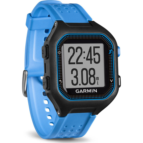 Garmin Forerunner 25 GPS Fitness Watch - Large - Black/Blue