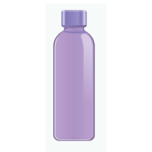Copco Graphite Bottle 16.9 Ounce, Purple