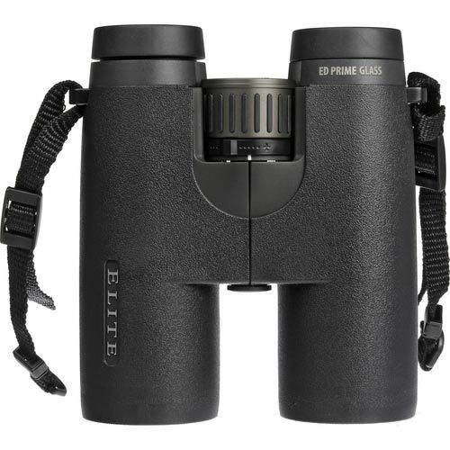 Bushnell Elite E2 10x42mm Black Roof ED Glass Binoculars