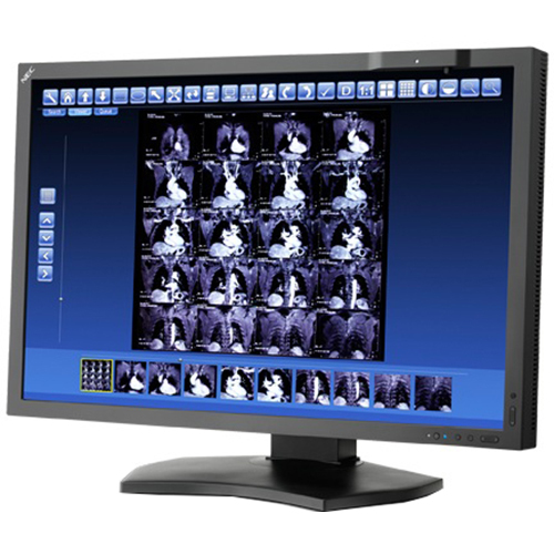 NEC 29.8` Color 4MP Medical Diagnostic Mid-Brightness LED Display Monitor