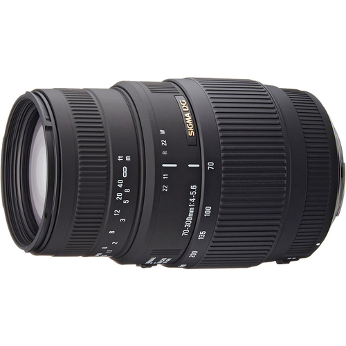 Sigma 70-300mm f/4-5.6 SLD DG Macro Telephoto Lens for Nikon Digital SLRs