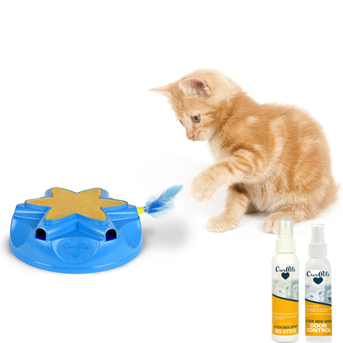 OurPets Catty Whack Interactive Sound and Feather Action Cat Toy (1400012971)