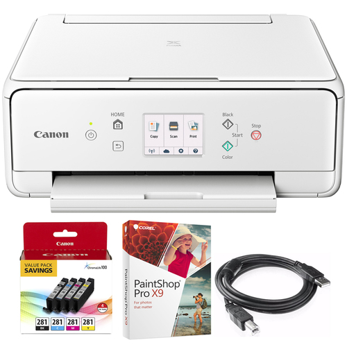 Canon PIXMA TS6120 Wireless All-in-One Compact Printer White + Paint Shop Bundle