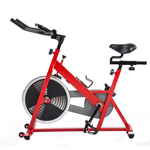 Sunny Health and Fitness Chain Drive Indoor Cycling Bike - Red - (SF-B1001)