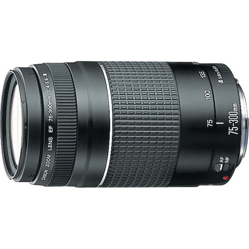 Canon EF 75-300mm  F4-5.6 III Lens with Canon USA Warranty