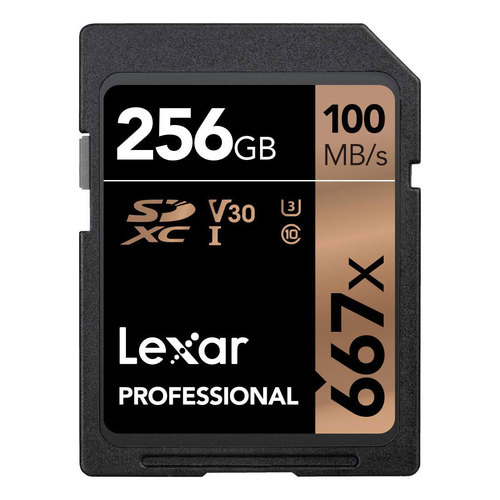 Lexar Professional 667x SDHC/SDXC 256GB