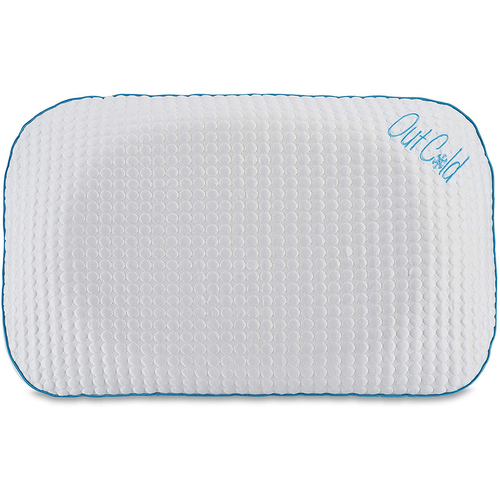 Out Cold Queen-Size Contour Pillow with Memory Foam Core (C13-M66)
