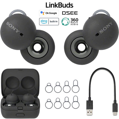 LinkBuds Truly Wireless Earbuds Headphones w/ Alexa Built-in (Gray) - WFL900/H