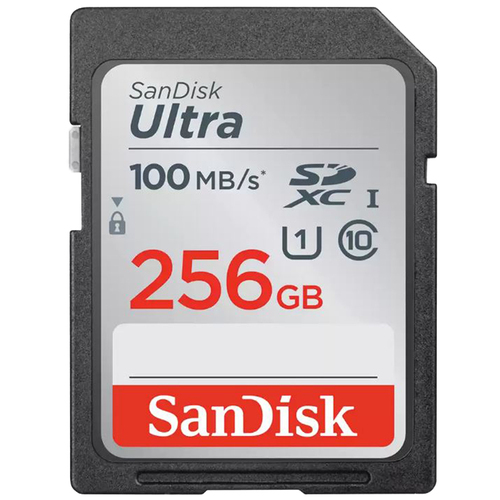 Sandisk Ultra SDHC Memory Card, 256GB (SDSDUNR-256G-AN6IN)