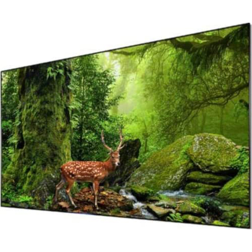 Hisense 120` ALR Display Screen for 120L10E 4K UHD Smart Laser TV Projector, Refurbished